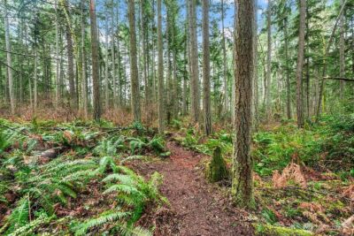 0 SW 220th Street , Vashon, WA 98070 - Photo 7