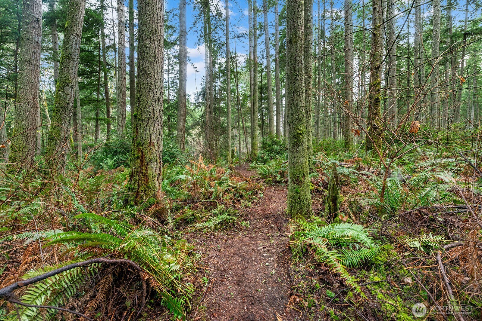 0 SW 220th Street , Vashon, WA 98070