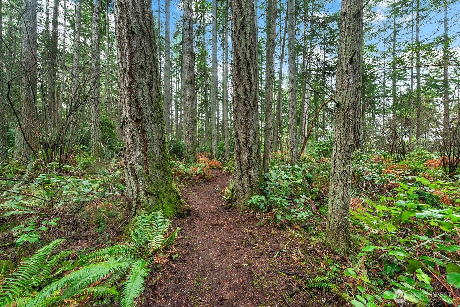 0 SW 220th Street , Vashon, WA 98070