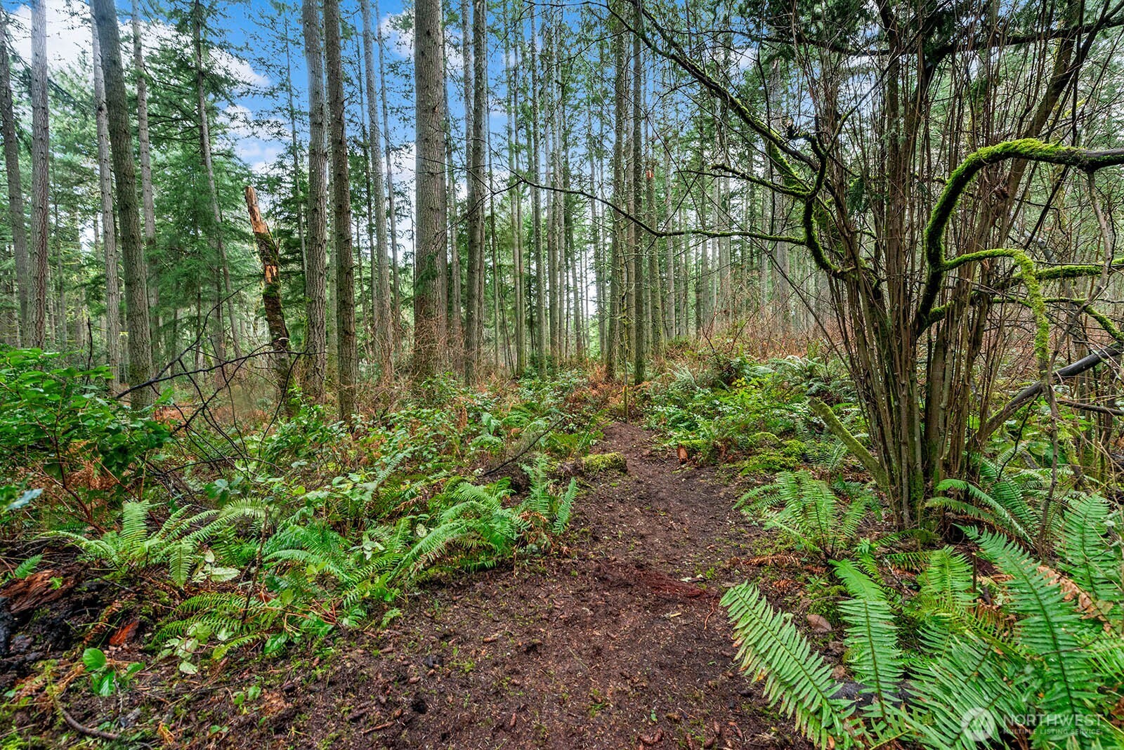 0 SW 220th Street , Vashon, WA 98070