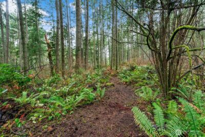 0 SW 220th Street , Vashon, WA 98070 - Photo 10