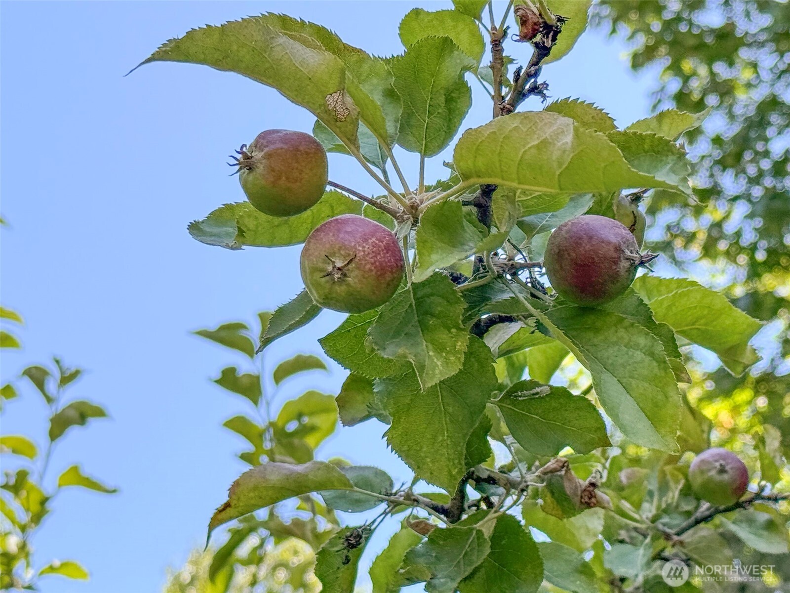 77 A Road Less Traveled , Sequim, WA 98382