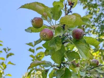 77 A Road Less Traveled , Sequim, WA 98382 - Photo 39