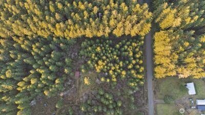 0 W Lost Lake Road , Shelton, WA 98584 - Photo 2