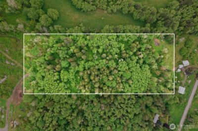 0 X Salmon Creek Road , Mossyrock, WA 98564 - Photo 2