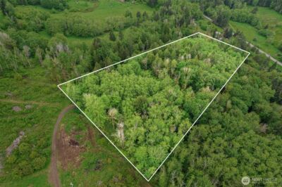 0 X Salmon Creek Road , Mossyrock, WA 98564 - Photo 3