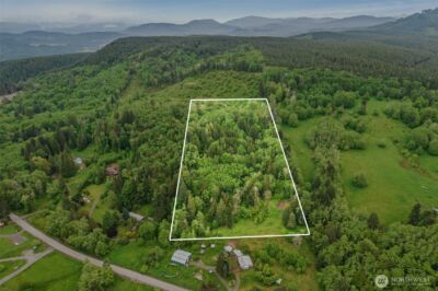 0 X Salmon Creek Road , Mossyrock, WA 98564 - Photo 4