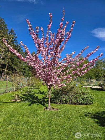 898 E Meadowood Lane , Freeland, WA 98249 - Photo 36