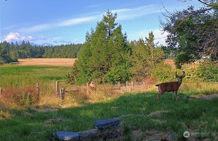 3295 Hastings Avenue , Port Townsend, WA 98368