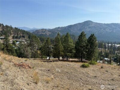 794 S Jefferson Street , Republic, WA 99166 - Photo 3