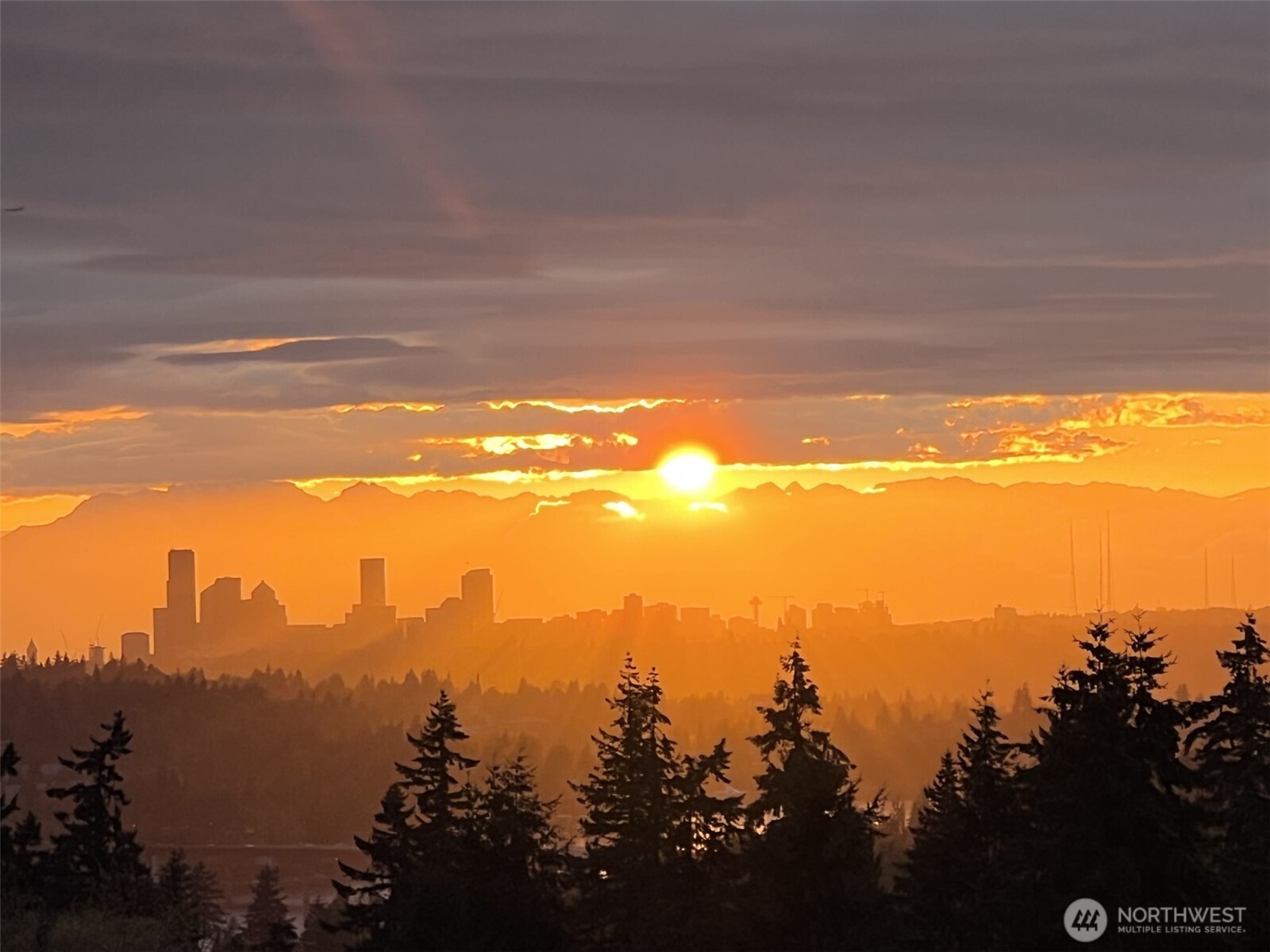 13635 SE 43rd Street , Bellevue, WA 98006