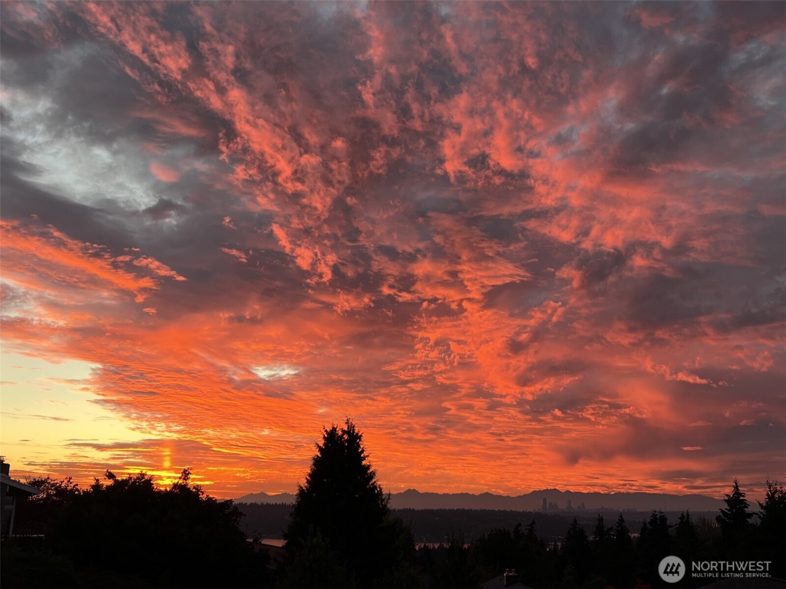 13635 SE 43rd Street , Bellevue, WA 98006