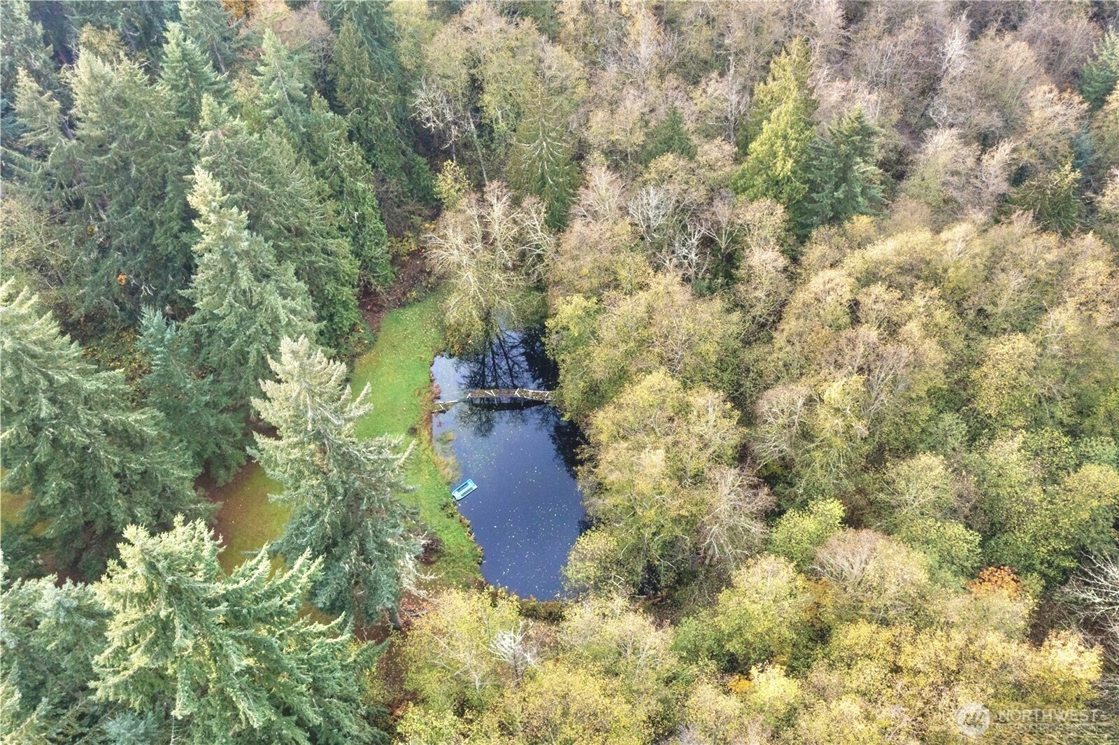 24124 94th Avenue E, Graham, WA 98338