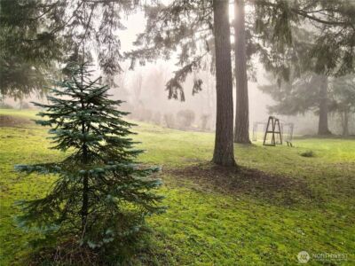 24124 94th Avenue E, Graham, WA 98338 - Photo 13