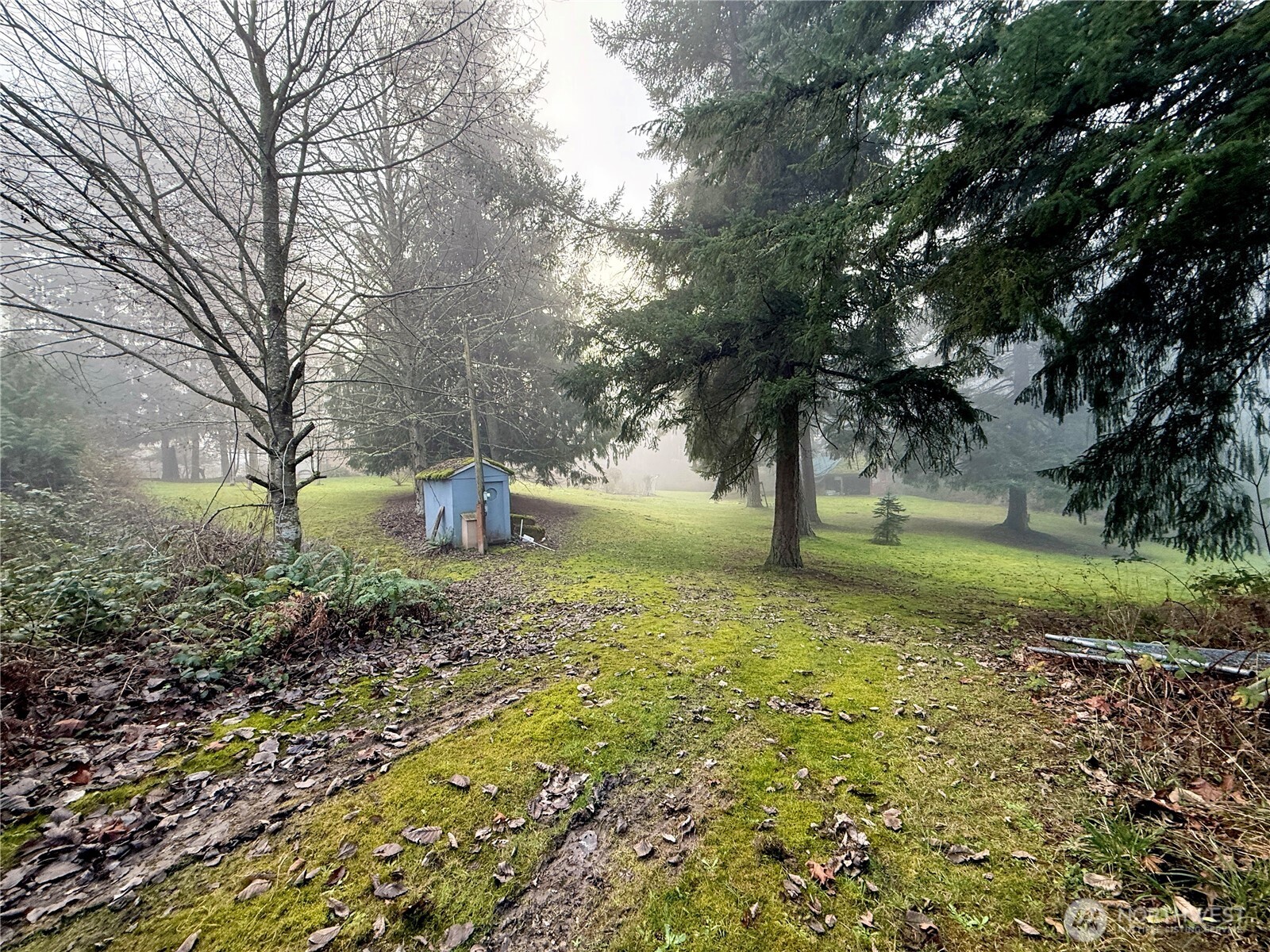 24124 94th Avenue E, Graham, WA 98338