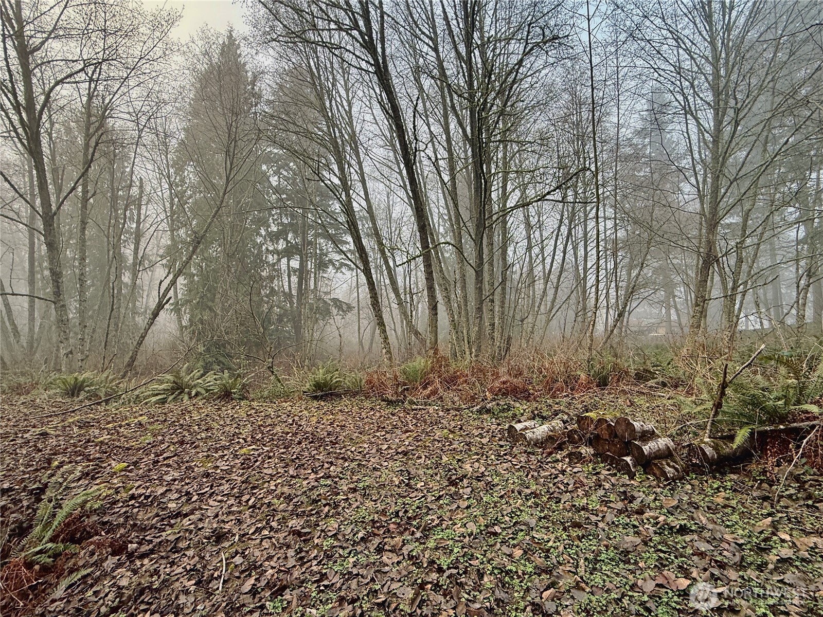 24124 94th Avenue E, Graham, WA 98338