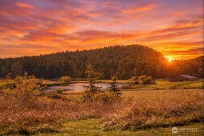 1062 Wold Road , Friday Harbor, WA 98250 - Photo 38