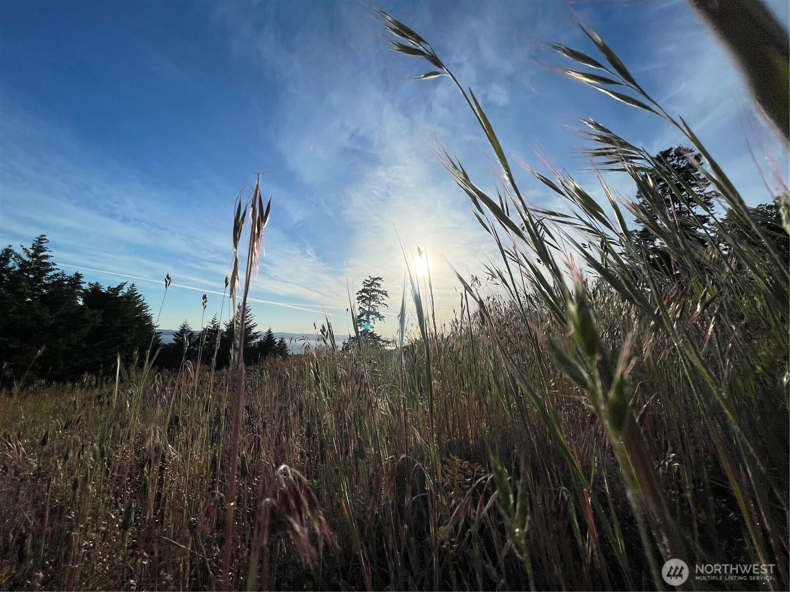 185 Lucky Way , Friday Harbor, WA 98250