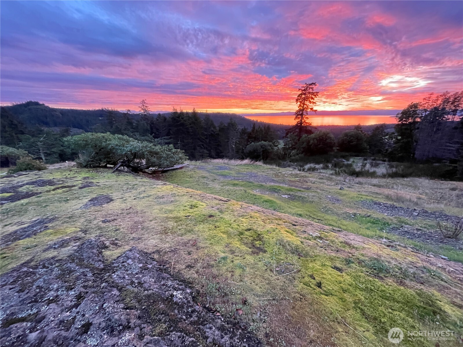 185 Lucky Way , Friday Harbor, WA 98250