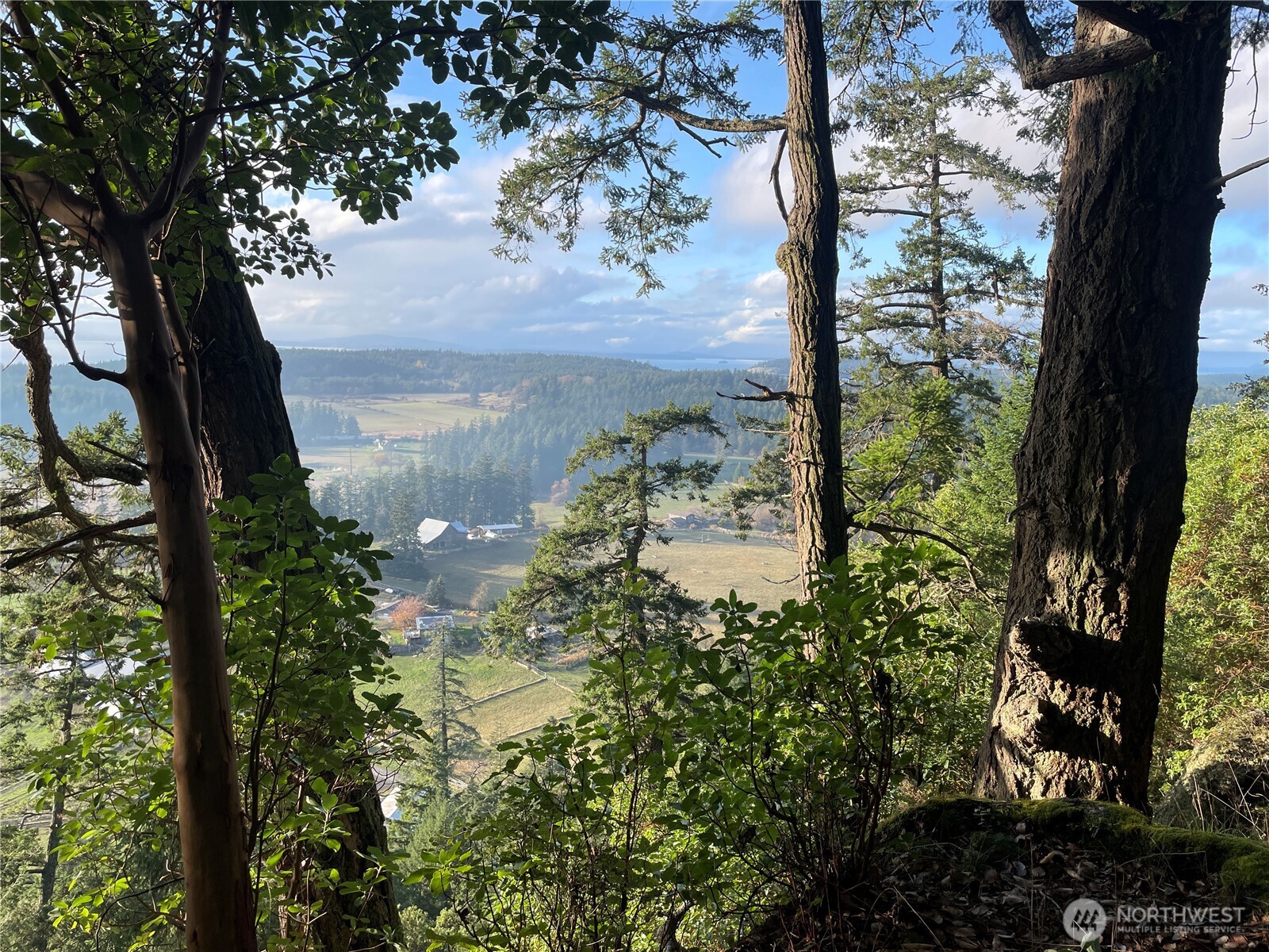 185 Lucky Way , Friday Harbor, WA 98250