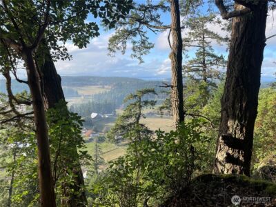 185 Lucky Way , Friday Harbor, WA 98250 - Photo 27