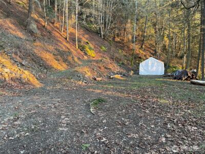 185 Lucky Way , Friday Harbor, WA 98250 - Photo 28