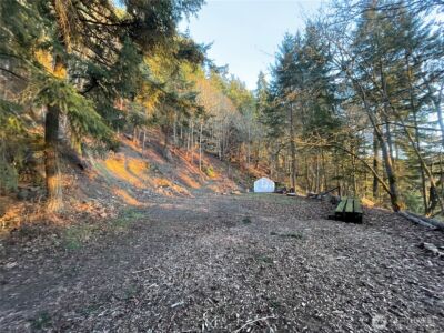 185 Lucky Way , Friday Harbor, WA 98250 - Photo 30