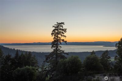 185 Lucky Way , Friday Harbor, WA 98250 - Photo 33