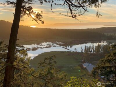 185 Lucky Way , Friday Harbor, WA 98250 - Photo 5