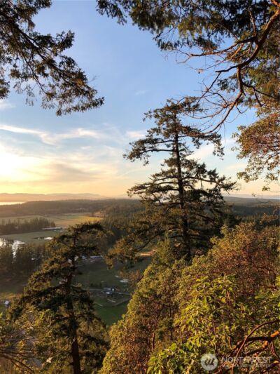 185 Lucky Way , Friday Harbor, WA 98250 - Photo 6