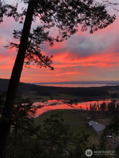 185 Lucky Way , Friday Harbor, WA 98250 - Photo 7