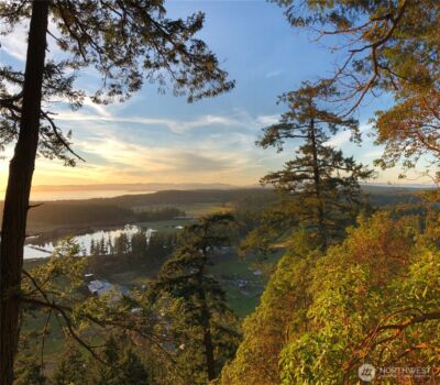 185 Lucky Way , Friday Harbor, WA 98250 - Photo 8