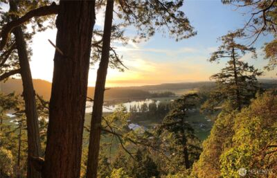 185 Lucky Way , Friday Harbor, WA 98250 - Photo 9