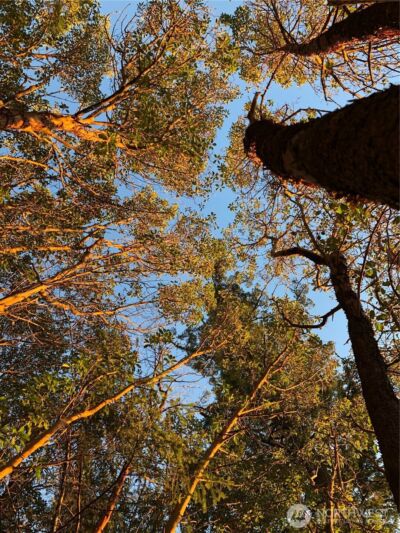 185 Lucky Way , Friday Harbor, WA 98250 - Photo 10