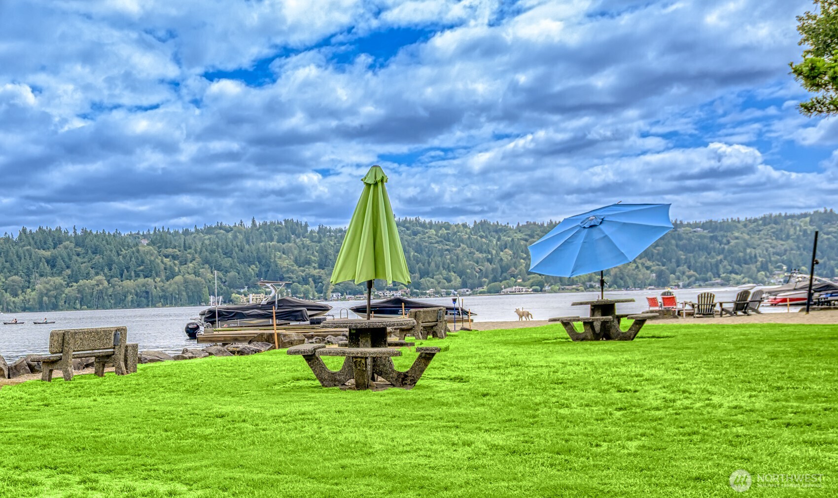 3834 175th Avenue NE #A202, Redmond, WA 98052