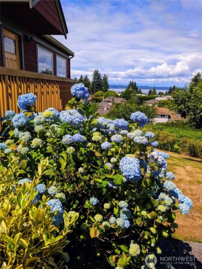 647 9th Avenue N, Edmonds, WA 98020 - Photo 23