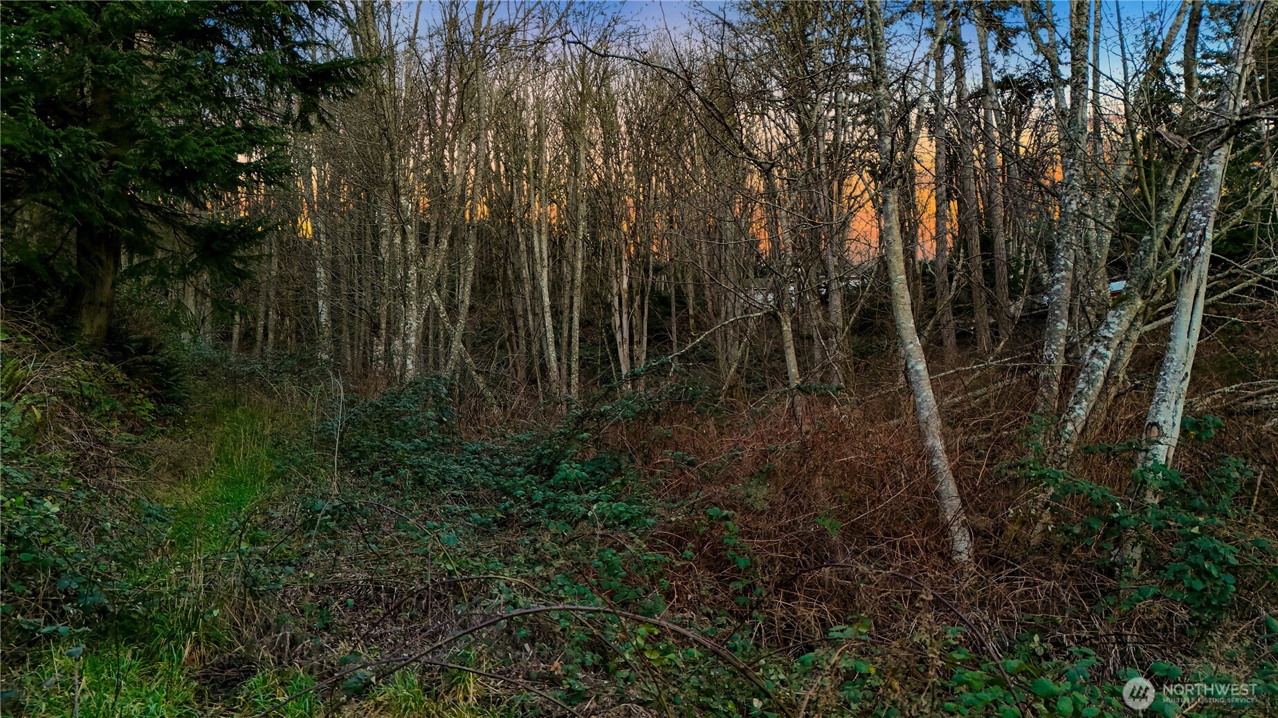 927 Grennan Place , Camano Island, WA 98282