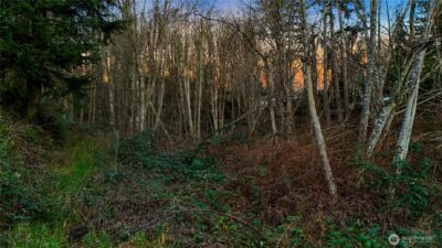 927 Grennan Place , Camano Island, WA 98282 - Photo 14