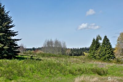 5493 Woodard Avenue , Freeland, WA 98249 - Photo 14