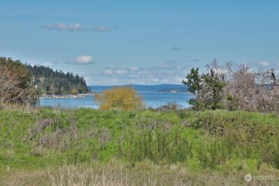 5493 Woodard Avenue , Freeland, WA 98249 - Photo 3