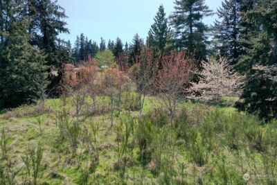 5493 Woodard Avenue , Freeland, WA 98249 - Photo 38