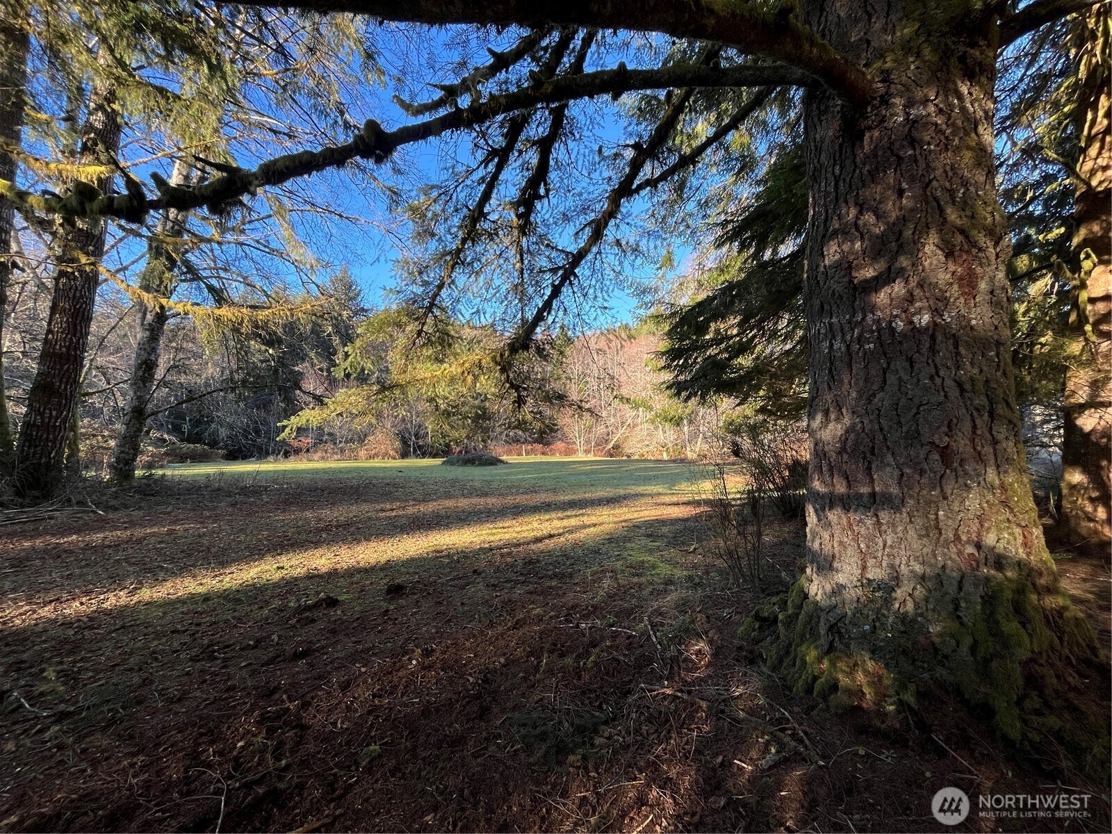 1329 State Route 4 , Naselle, WA 98638