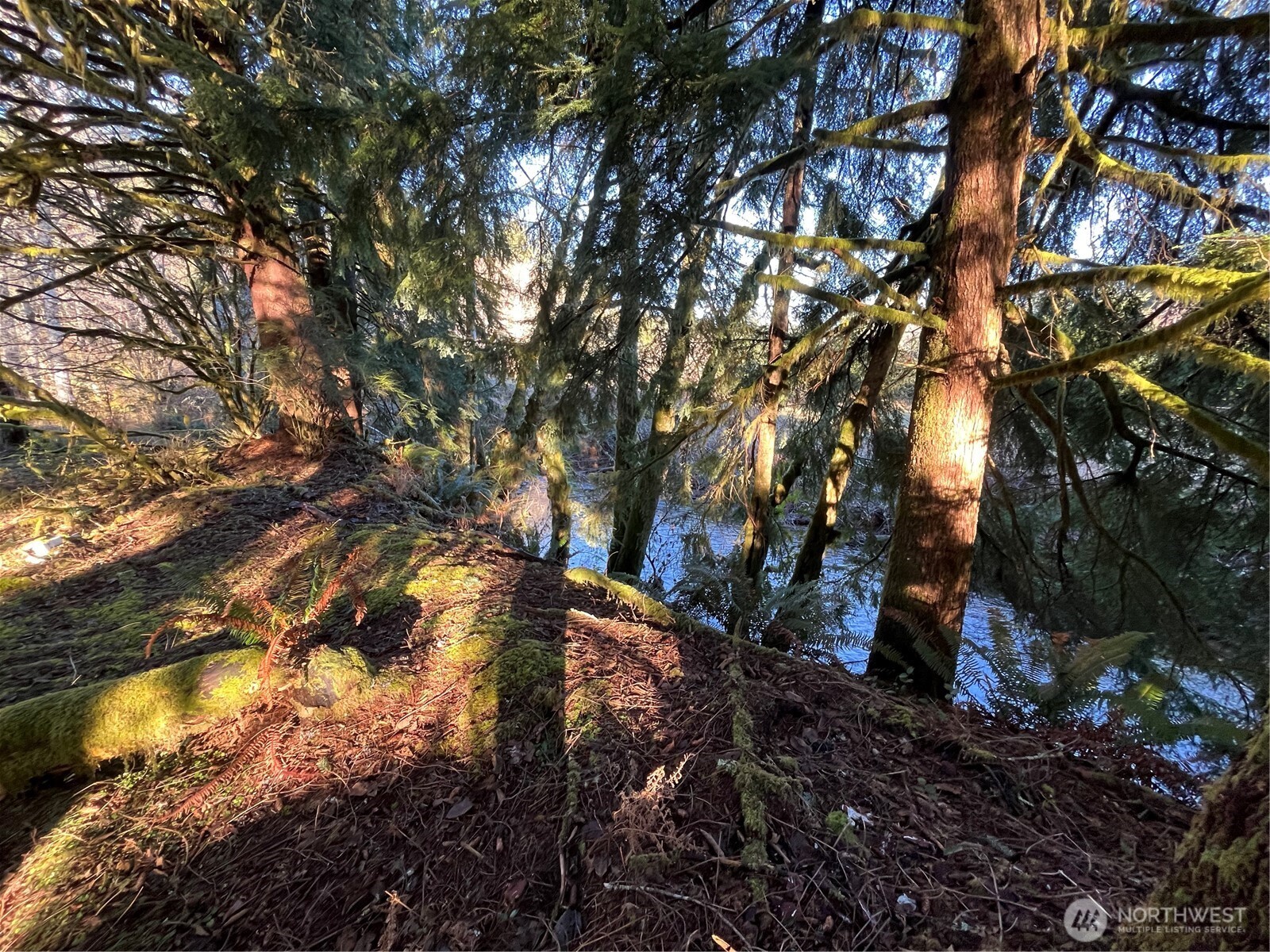 1329 State Route 4 , Naselle, WA 98638