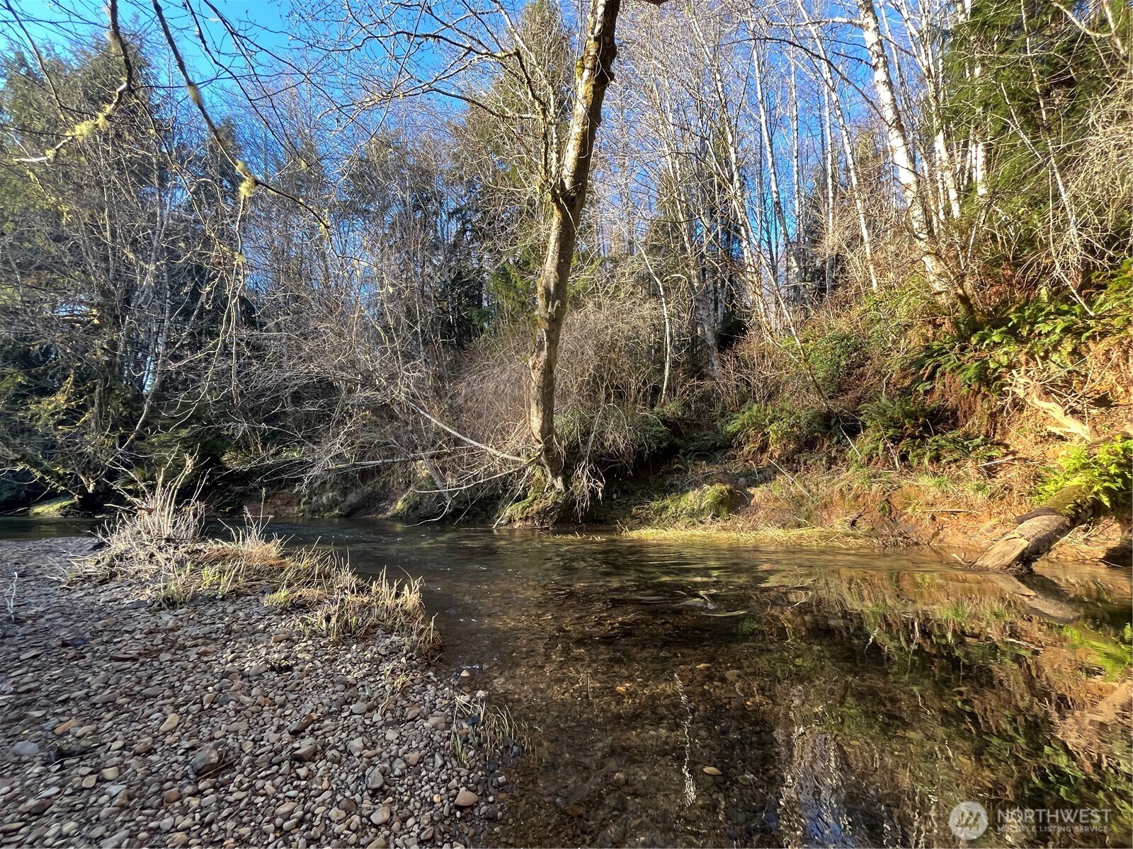 1329 State Route 4 , Naselle, WA 98638