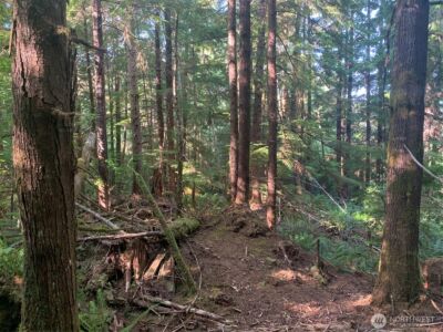 4 Tract Parpala Road , Naselle, WA 98638