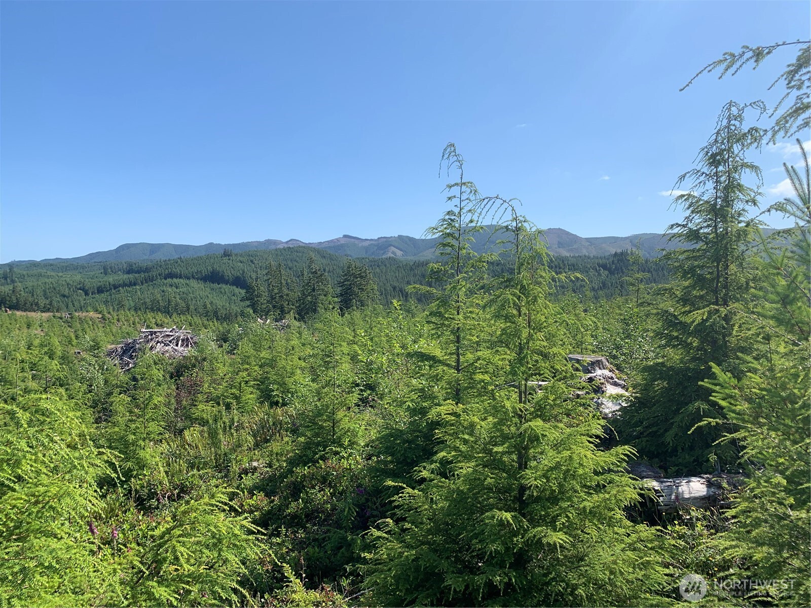 4 Tract Parpala Road , Naselle, WA 98638