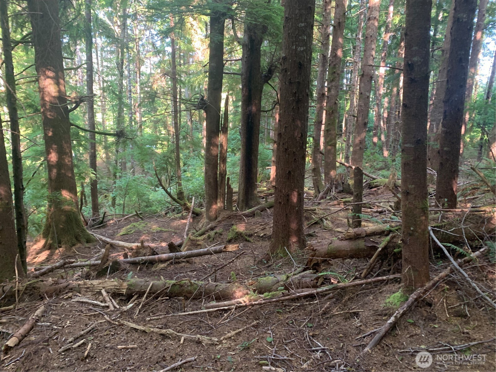 4 Tract Parpala Road , Naselle, WA 98638