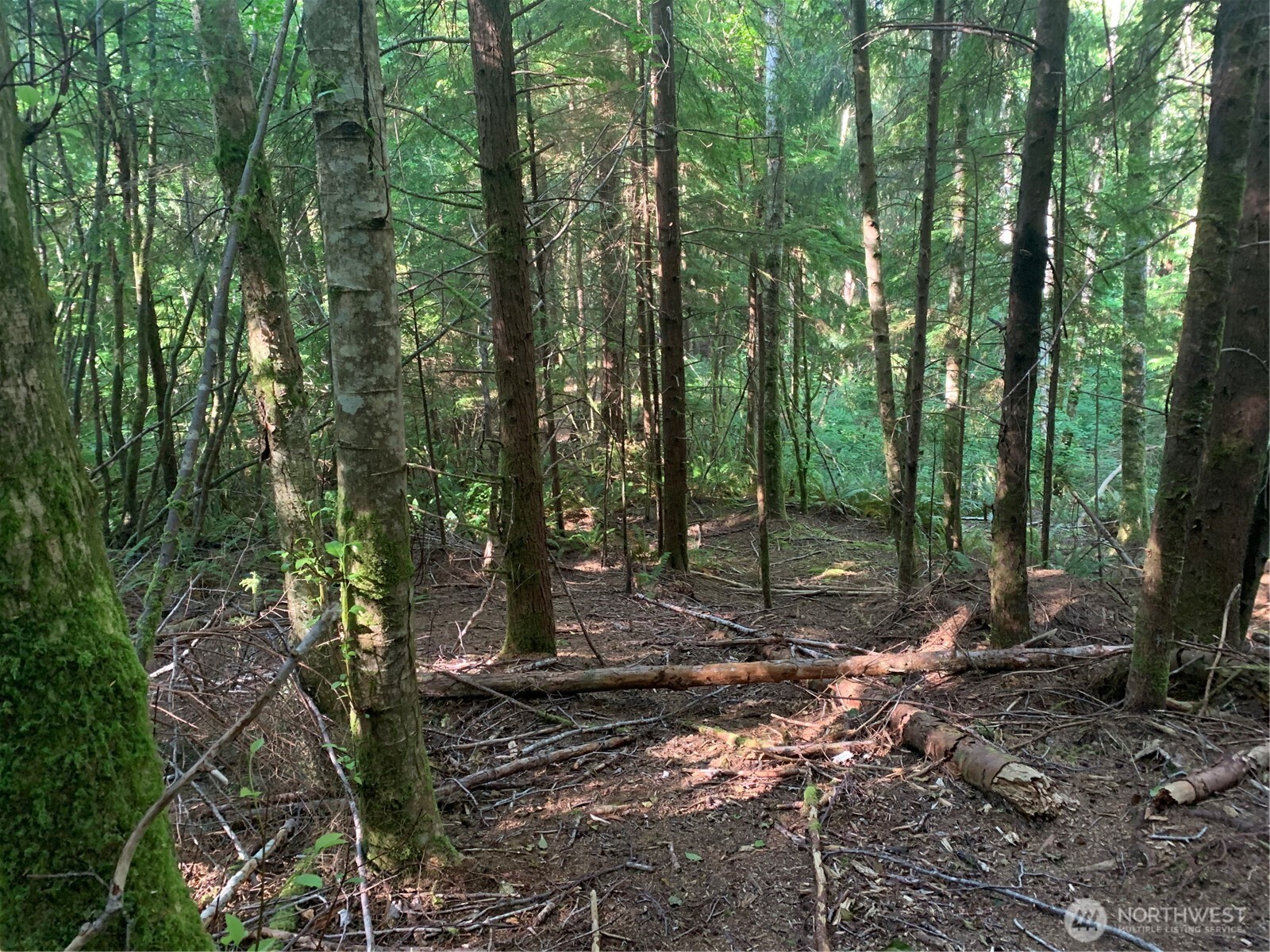 4 Tract Parpala Road , Naselle, WA 98638