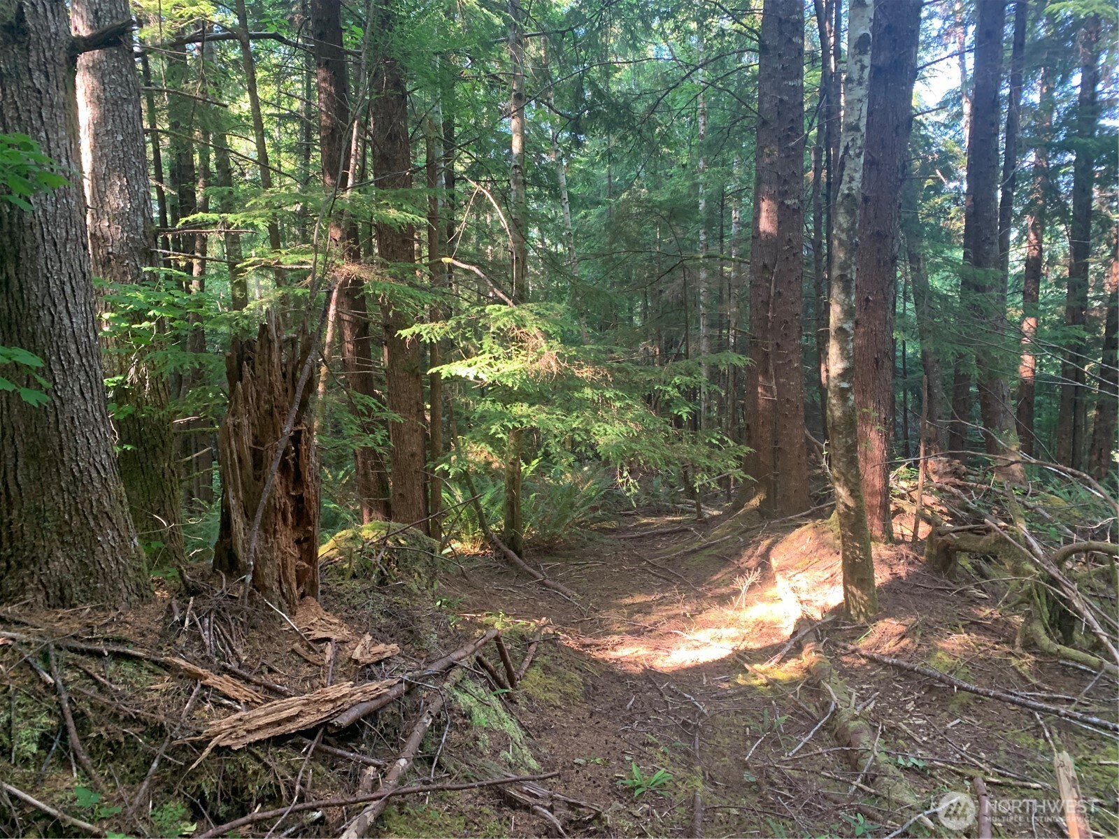 4 Tract Parpala Road , Naselle, WA 98638