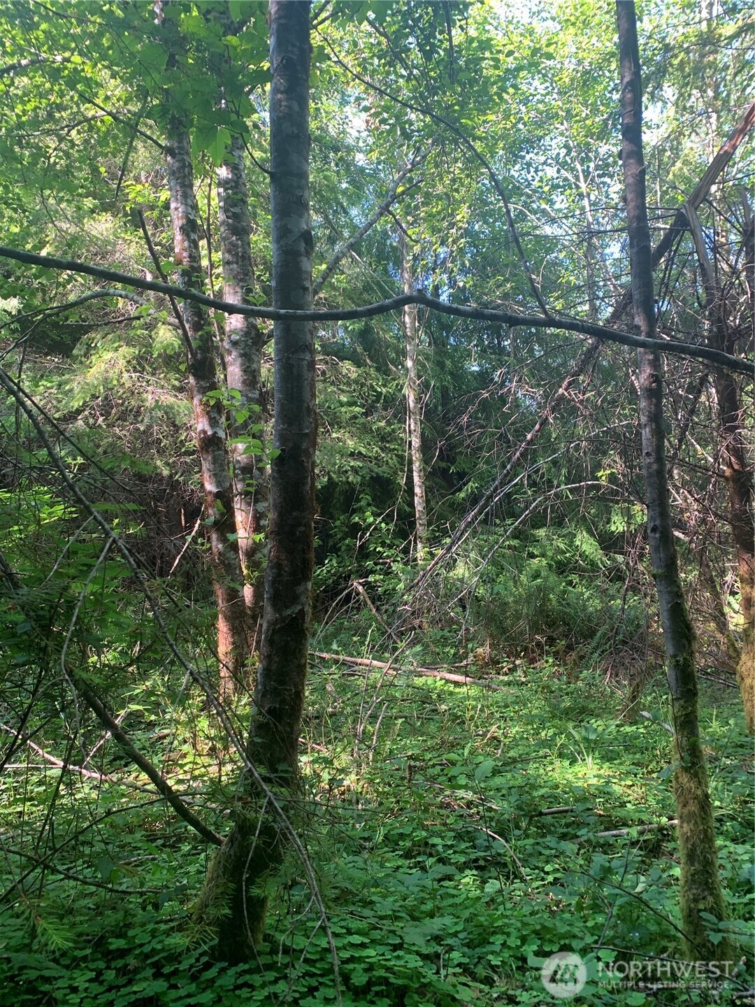 4 Tract Parpala Road , Naselle, WA 98638